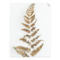 Picture of Dried Fern Leaf  _GroupedProduct_Rectangle_Portrait_Photography _GroupedProduct_Rectangle_Portrait_Unframed_Print_Only_