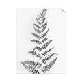 Picture of Dried Fern Leaf  _GroupedProduct_Rectangle_Portrait_Photography _GroupedProduct_Rectangle_Portrait_Unframed_Print_Only_