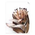 Picture of Dried Flower I  _GroupedProduct_Rectangle_Portrait_Photography _GroupedProduct_Rectangle_Portrait_Unframed_Print_Only_