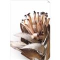 Picture of Dried Flower I  _GroupedProduct_Rectangle_Portrait_Photography _GroupedProduct_Rectangle_Portrait_Unframed_Print_Only_