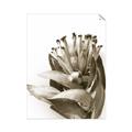 Picture of Dried Flower I  _GroupedProduct_Rectangle_Portrait_Photography _GroupedProduct_Rectangle_Portrait_Unframed_Print_Only_