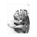 Picture of Dried Flower I  _GroupedProduct_Rectangle_Portrait_Photography _GroupedProduct_Rectangle_Portrait_Unframed_Print_Only_