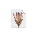 Picture of Dried Flower II _GroupedProduct_Rectangle_Portrait_Photography _GroupedProduct_Rectangle_Portrait_Unframed_Print_Only_