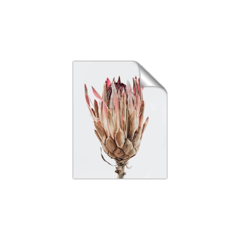 Picture of Dried Flower II _GroupedProduct_Rectangle_Portrait_Photography _GroupedProduct_Rectangle_Portrait_Unframed_Print_Only_
