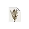 Picture of Dried Flower II _GroupedProduct_Rectangle_Portrait_Photography _GroupedProduct_Rectangle_Portrait_Unframed_Print_Only_