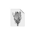 Picture of Dried Flower II _GroupedProduct_Rectangle_Portrait_Photography _GroupedProduct_Rectangle_Portrait_Unframed_Print_Only_