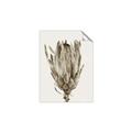 Picture of Dried Flower II _GroupedProduct_Rectangle_Portrait_Photography _GroupedProduct_Rectangle_Portrait_Unframed_Print_Only_
