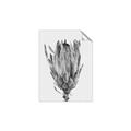 Picture of Dried Flower II _GroupedProduct_Rectangle_Portrait_Photography _GroupedProduct_Rectangle_Portrait_Unframed_Print_Only_