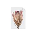 Picture of Dried Flower II _GroupedProduct_Rectangle_Portrait_Photography _GroupedProduct_Rectangle_Portrait_Unframed_Print_Only_