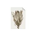 Picture of Dried Flower II _GroupedProduct_Rectangle_Portrait_Photography _GroupedProduct_Rectangle_Portrait_Unframed_Print_Only_