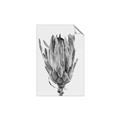 Picture of Dried Flower II _GroupedProduct_Rectangle_Portrait_Photography _GroupedProduct_Rectangle_Portrait_Unframed_Print_Only_