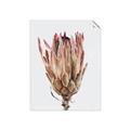 Picture of Dried Flower II _GroupedProduct_Rectangle_Portrait_Photography _GroupedProduct_Rectangle_Portrait_Unframed_Print_Only_