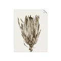 Picture of Dried Flower II _GroupedProduct_Rectangle_Portrait_Photography _GroupedProduct_Rectangle_Portrait_Unframed_Print_Only_