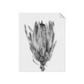 Picture of Dried Flower II _GroupedProduct_Rectangle_Portrait_Photography _GroupedProduct_Rectangle_Portrait_Unframed_Print_Only_