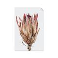Picture of Dried Flower II _GroupedProduct_Rectangle_Portrait_Photography _GroupedProduct_Rectangle_Portrait_Unframed_Print_Only_