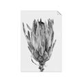 Picture of Dried Flower II _GroupedProduct_Rectangle_Portrait_Photography _GroupedProduct_Rectangle_Portrait_Unframed_Print_Only_