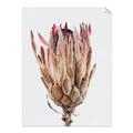 Picture of Dried Flower II _GroupedProduct_Rectangle_Portrait_Photography _GroupedProduct_Rectangle_Portrait_Unframed_Print_Only_