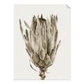 Picture of Dried Flower II _GroupedProduct_Rectangle_Portrait_Photography _GroupedProduct_Rectangle_Portrait_Unframed_Print_Only_