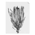 Picture of Dried Flower II _GroupedProduct_Rectangle_Portrait_Photography _GroupedProduct_Rectangle_Portrait_Unframed_Print_Only_