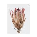 Picture of Dried Flower II _GroupedProduct_Rectangle_Portrait_Photography _GroupedProduct_Rectangle_Portrait_Unframed_Print_Only_