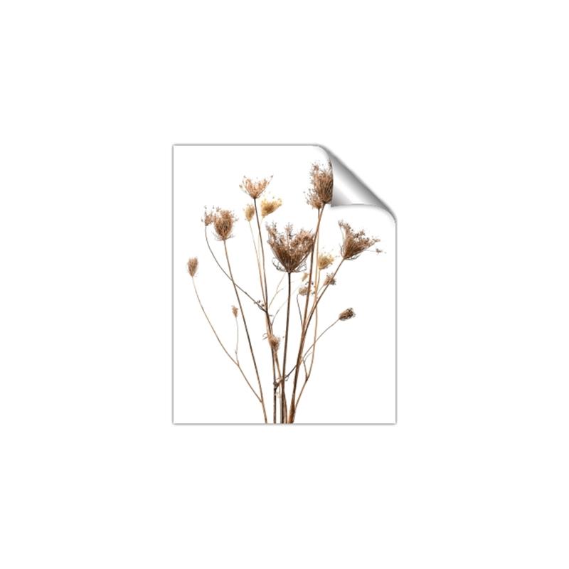 Picture of Dried Flower III  _GroupedProduct_Rectangle_Portrait_Photography _GroupedProduct_Rectangle_Portrait_Unframed_Print_Only_