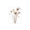 Picture of Dried Flower III  _GroupedProduct_Rectangle_Portrait_Photography _GroupedProduct_Rectangle_Portrait_Unframed_Print_Only_