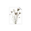 Picture of Dried Flower III  _GroupedProduct_Rectangle_Portrait_Photography _GroupedProduct_Rectangle_Portrait_Unframed_Print_Only_