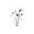 Picture of Dried Flower III  _GroupedProduct_Rectangle_Portrait_Photography _GroupedProduct_Rectangle_Portrait_Unframed_Print_Only_