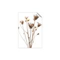Picture of Dried Flower III  _GroupedProduct_Rectangle_Portrait_Photography _GroupedProduct_Rectangle_Portrait_Unframed_Print_Only_