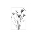 Picture of Dried Flower III  _GroupedProduct_Rectangle_Portrait_Photography _GroupedProduct_Rectangle_Portrait_Unframed_Print_Only_