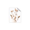 Picture of Dried Lilies  _GroupedProduct_Rectangle_Portrait_Photography _GroupedProduct_Rectangle_Portrait_Unframed_Print_Only_