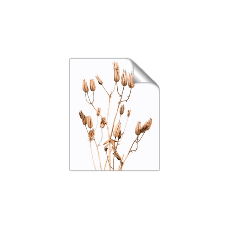 Picture of Dried Lilies  _GroupedProduct_Rectangle_Portrait_Photography _GroupedProduct_Rectangle_Portrait_Unframed_Print_Only_