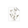 Picture of Dried Lilies  _GroupedProduct_Rectangle_Portrait_Photography _GroupedProduct_Rectangle_Portrait_Unframed_Print_Only_
