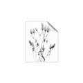 Picture of Dried Lilies  _GroupedProduct_Rectangle_Portrait_Photography _GroupedProduct_Rectangle_Portrait_Unframed_Print_Only_