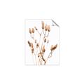 Picture of Dried Lilies  _GroupedProduct_Rectangle_Portrait_Photography _GroupedProduct_Rectangle_Portrait_Unframed_Print_Only_