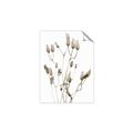 Picture of Dried Lilies  _GroupedProduct_Rectangle_Portrait_Photography _GroupedProduct_Rectangle_Portrait_Unframed_Print_Only_