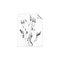 Picture of Dried Lilies  _GroupedProduct_Rectangle_Portrait_Photography _GroupedProduct_Rectangle_Portrait_Unframed_Print_Only_