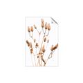 Picture of Dried Lilies  _GroupedProduct_Rectangle_Portrait_Photography _GroupedProduct_Rectangle_Portrait_Unframed_Print_Only_