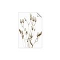 Picture of Dried Lilies  _GroupedProduct_Rectangle_Portrait_Photography _GroupedProduct_Rectangle_Portrait_Unframed_Print_Only_