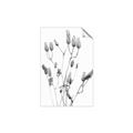 Picture of Dried Lilies  _GroupedProduct_Rectangle_Portrait_Photography _GroupedProduct_Rectangle_Portrait_Unframed_Print_Only_