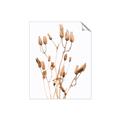 Picture of Dried Lilies  _GroupedProduct_Rectangle_Portrait_Photography _GroupedProduct_Rectangle_Portrait_Unframed_Print_Only_