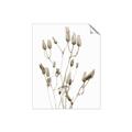 Picture of Dried Lilies  _GroupedProduct_Rectangle_Portrait_Photography _GroupedProduct_Rectangle_Portrait_Unframed_Print_Only_