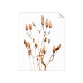 Picture of Dried Lilies  _GroupedProduct_Rectangle_Portrait_Photography _GroupedProduct_Rectangle_Portrait_Unframed_Print_Only_