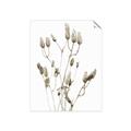 Picture of Dried Lilies  _GroupedProduct_Rectangle_Portrait_Photography _GroupedProduct_Rectangle_Portrait_Unframed_Print_Only_