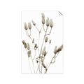 Picture of Dried Lilies  _GroupedProduct_Rectangle_Portrait_Photography _GroupedProduct_Rectangle_Portrait_Unframed_Print_Only_