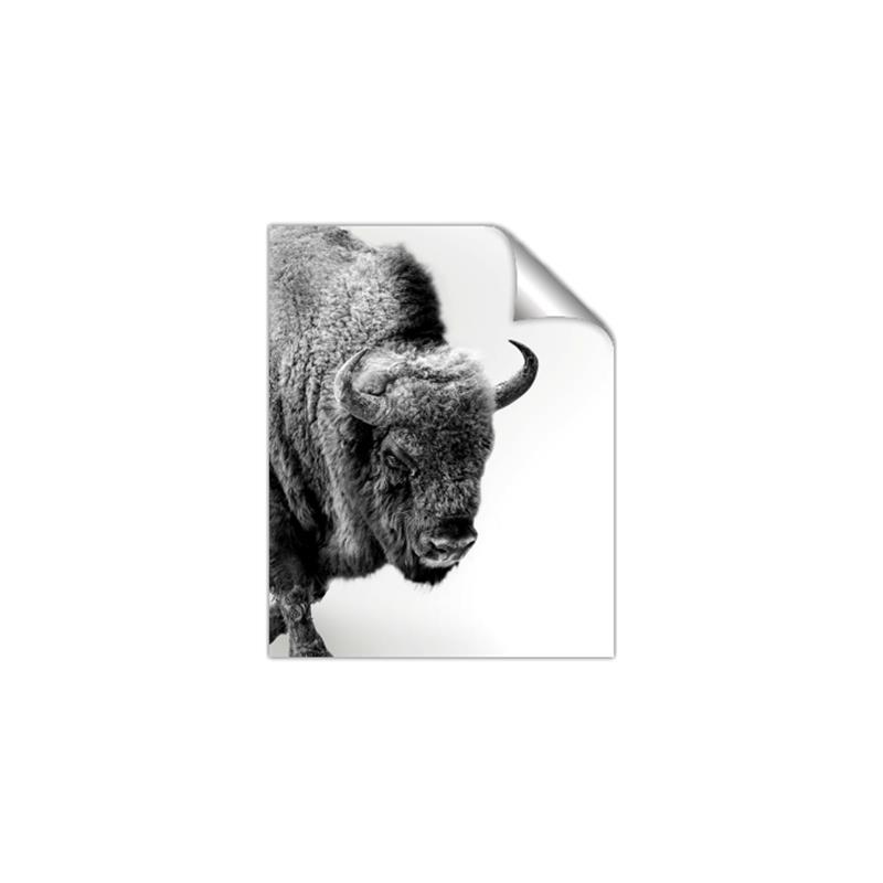 Picture of Buffalo Bill _GroupedProduct_Rectangle_Portrait_Photography _GroupedProduct_Rectangle_Portrait_Unframed_Print_Only_