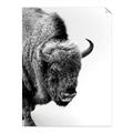 Picture of Buffalo Bill _GroupedProduct_Rectangle_Portrait_Photography _GroupedProduct_Rectangle_Portrait_Unframed_Print_Only_