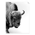 Picture of Buffalo Bill _GroupedProduct_Rectangle_Portrait_Photography _GroupedProduct_Rectangle_Portrait_Unframed_Print_Only_