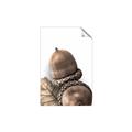 Picture of Fallen Acorns _GroupedProduct_Rectangle_Portrait_Photography _GroupedProduct_Rectangle_Portrait_Unframed_Print_Only_