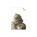 Picture of Fallen Acorns _GroupedProduct_Rectangle_Portrait_Photography _GroupedProduct_Rectangle_Portrait_Unframed_Print_Only_